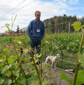 In the vineyard with Theo Siemens and his trusty whippet