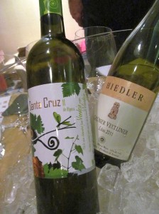 Santa Cruz Verdejo and Hiedler Gruner Veltliner