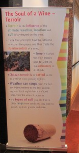 What is Terroir
