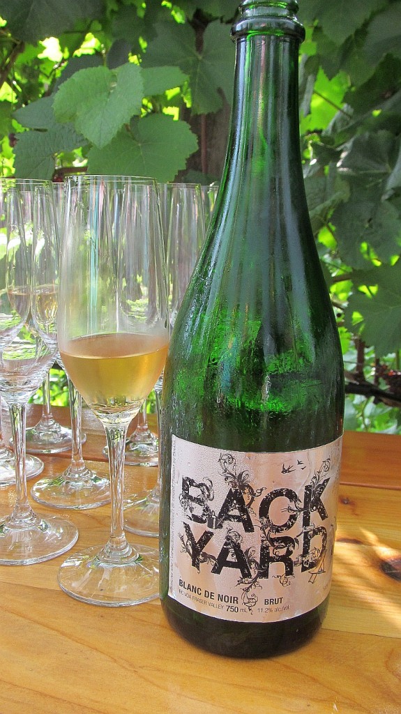 Backyard Vineyards Blanc de Noir sparkling wine