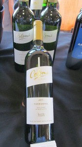 Colome Torrontes 2011
