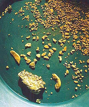 Gold in Pan