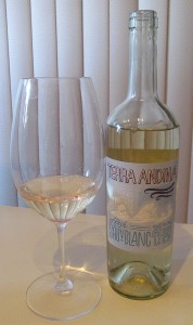 Terra Andina Sauvignon Blanc 2012