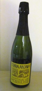Terra Andina Sparkling Moscato NV
