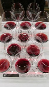 New Zealand Pinot Noir flight to taste