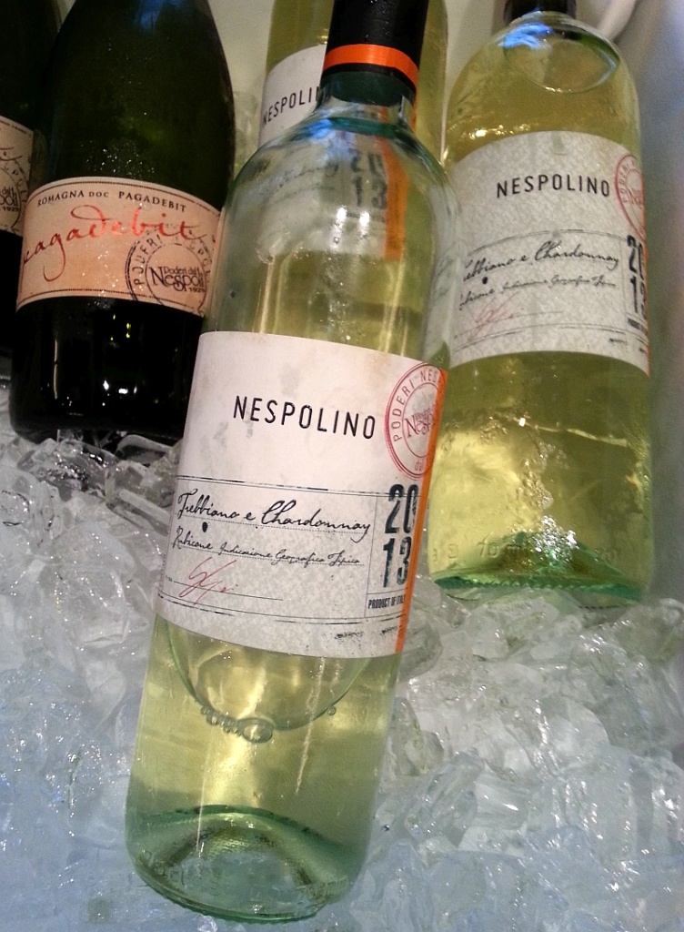 Poderi Dal Nespoli Rubicone IGT 2013 and Pagadebit