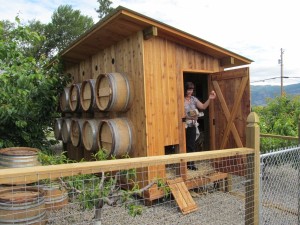 Chicken coop in the Switchback vineyard
