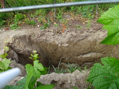A soil pit at Okanagan Crush Pad