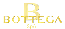 BOTTEGA SPA logo