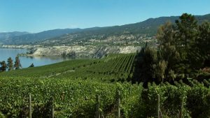 Naramata Bench in the Okanagan Valley
