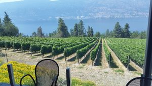 A beautiful view of Lake Okanagan at the patio restaurant of Arrowleaf Cellars