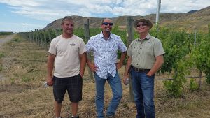 Caleb Hanaghan, Michael Bartier, and Ed Collett in the Harpers Trail vineyard