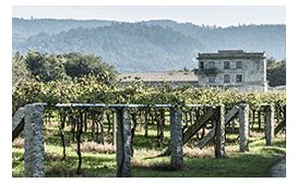 Pazo de Barrantes Estate Rías Baixas