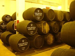 A solera (Image by El Pantera - Own work, CC BY-SA 3.0, https://commons.wikimedia.org/w/index.php?curid=5488301)