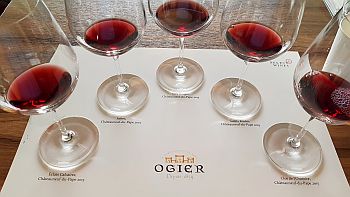 The Ogier Expression de Terroir Wines in glasses