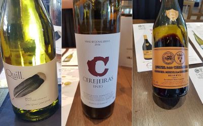 Amo Vino Portfolio Tasting Per Favore Blue Grouse Quill White Wine, Agricola Sanguinhal Cerejeiras Tinto and Cerejeiras Tinto Reserva small