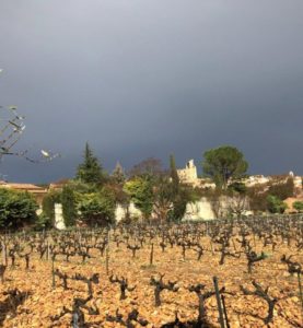 Some vineyards from Domaine Duseigneur (Photo courtesy Domaine Duseigneur)