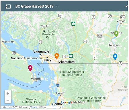 BC 2019 grape harvest winemaker locations