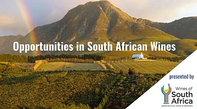 An Intro to South African Wines Opportunities in South African Wines