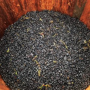 Domaine Roux Bourgogne Pinot Noir