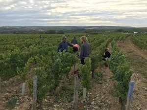 Jean DURUP Père et Fils 2020