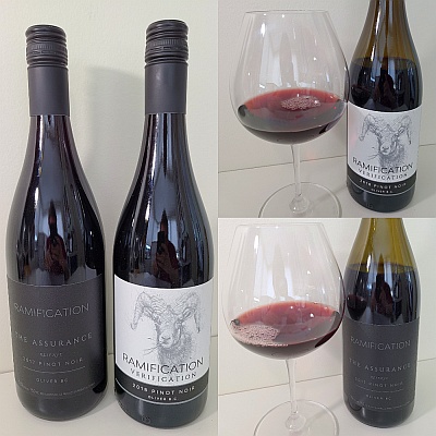 Two Pinot Noirs to Enjoy from Ramification Cellars Ramification Cellars Verification Pinot Noir 2018 and The Assurance Reserve Pinot Noir 2017