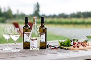 Singletree Winery Wines (Photo Credit @winebcdotcom)