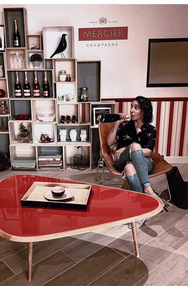 Anita Dorion aka vinetranslator