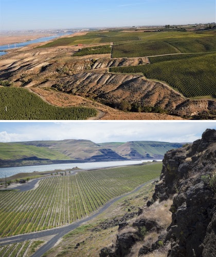 The Burn and White Bluffs AVAs