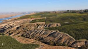 White Bluffs AVA (Image courtesy of Kent Waliser of Sagemoor Vineyards)