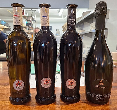 Bodega Los Bermejos Malvasia Seco 2021, Listan Negro MC 2021, Listan Negro Tradicional 2021, and Malvasia Brut Nature 2019 wine bottles