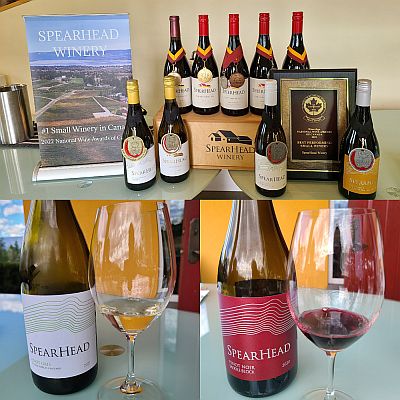 Tasting Pinots at Spearhead Winery Spearhead Winery award winning wines