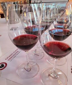 Chianti Classico Masterclass wines