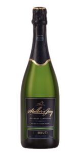 Steller’s Jay Mountain Jay Brut