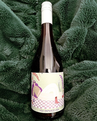 Traynor VIneyard Birdie wine