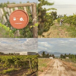 Bodega Huanacache winery and vineyards