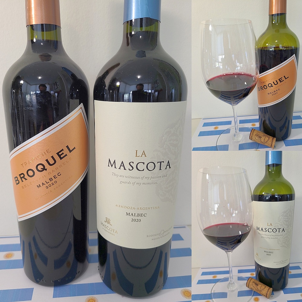 Trapiche Broquel Selected Barrels Malbec 2020 and Santa Ana La Mascota Vineyards Malbec 2020 with wines in glasses