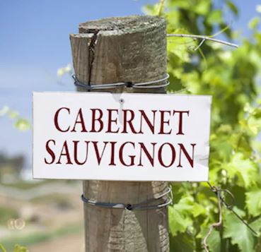 Cabernet Sauvignon sign