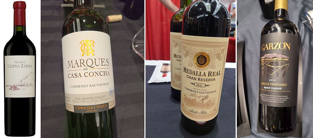 Catena Zapata Nicolas Catena Zapata 2019, Marques de Casa Concha y Toro Cabernet Sauvignon 2020, Santa Rita Medalla Real Gran Reserva Cabernet Sauvignon 2021, and Bodega Garzon Petit Verdot 2020 wines