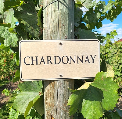 Chardonnay post