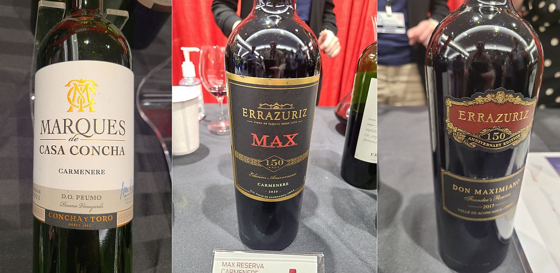 Concha y Toro Marques de Casa Concha Carmenere 2021, Vina Errazuriz Max Reserva Carmenere 2021, and Vina Errazuriz Don Maximiano Founder's Reserve Cabernet Sauvignon 2017 wines