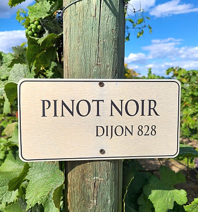 Pinot Noir sign post