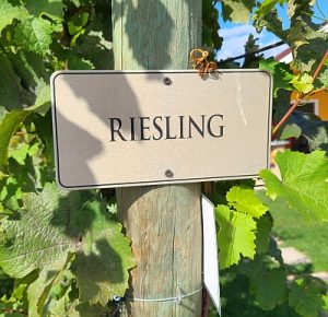 Riesling sign post