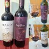 Alamos Malbec 2020 and Luigi Bosca De Sangre Malbec 2020