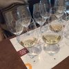 Rhone Valley Vineyards' winemaker tour seminar