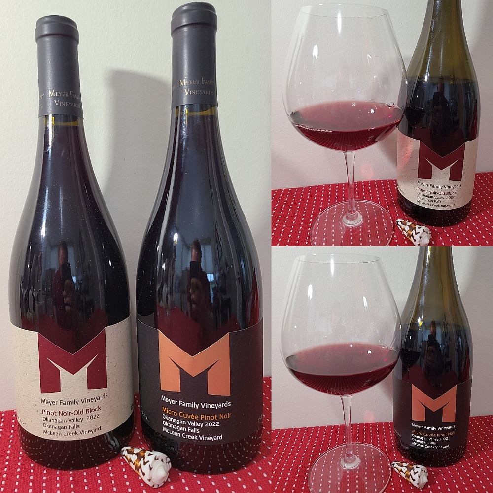 Meyer Family Vineyards McLean Creek Vineyard Old Block Pinot Noir 2022 and McLean Creek Vineyard Micro Cuvée Pinot Noir 2022 with wines in glasses
