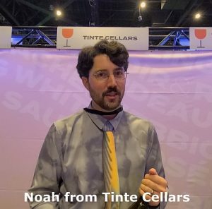 Noah from Tinte Cellars at Taste Washington 2024