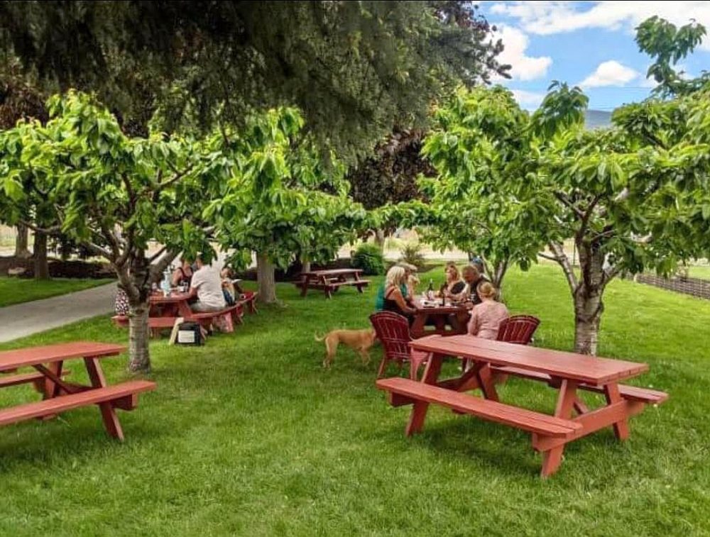 Lakeboat Vineyard & Winery picnic area (photo credit Jordan Bradley)