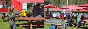 Summergate picnic area