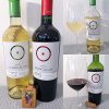 Viña Chocalán Reserva Sauvignon Blanc 2021 and Reserva Cabernet Sauvignon 2020